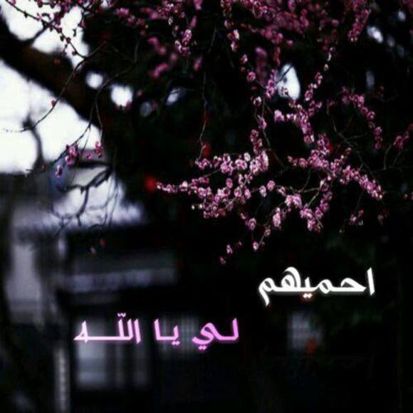 Meet your Posher, Hadeel - Picture 1 of 1